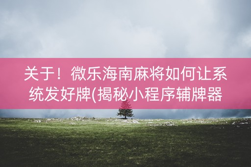 关于！微乐海南麻将如何让系统发好牌(揭秘小程序辅牌器)