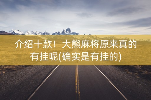 介绍十款！大熊麻将原来真的有挂呢(确实是有挂的)