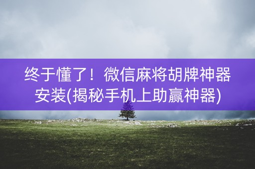 终于懂了！微信麻将胡牌神器安装(揭秘手机上助赢神器)