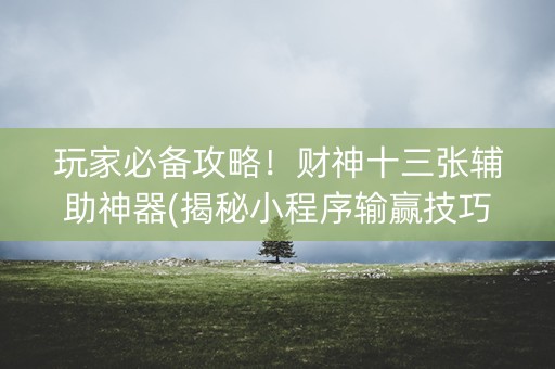 玩家必备攻略！财神十三张辅助神器(揭秘小程序输赢技巧)