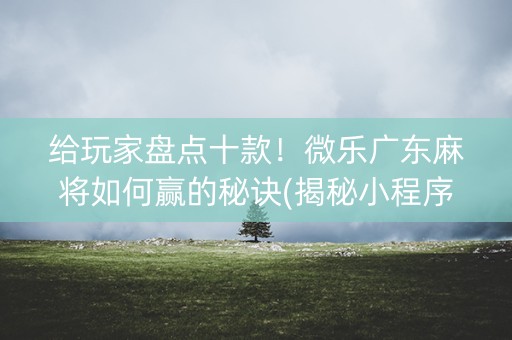给玩家盘点十款！微乐广东麻将如何赢的秘诀(揭秘小程序插件下载)