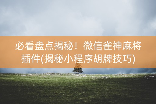 必看盘点揭秘！微信雀神麻将插件(揭秘小程序胡牌技巧)