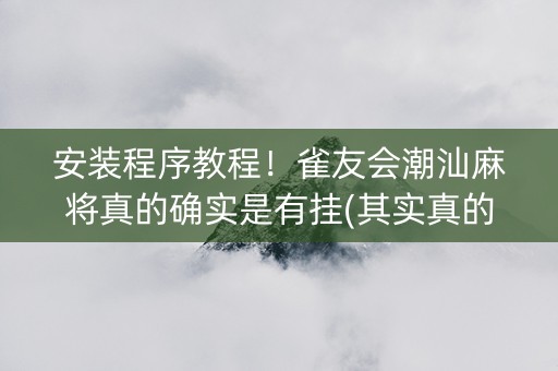 安装程序教程！雀友会潮汕麻将真的确实是有挂(其实真的确实有挂)