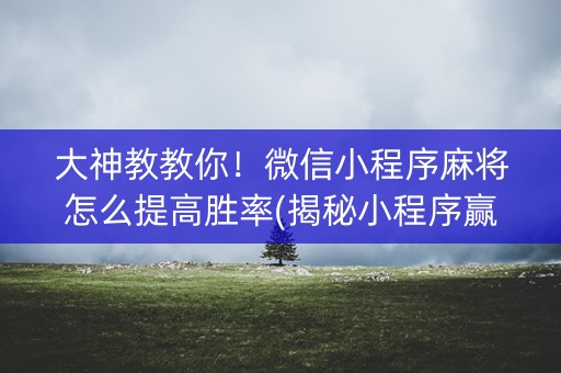 大神教教你！微信小程序麻将怎么提高胜率(揭秘小程序赢牌的技巧)