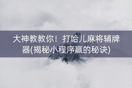 大神教教你！打哈儿麻将辅牌器(揭秘小程序赢的秘诀)