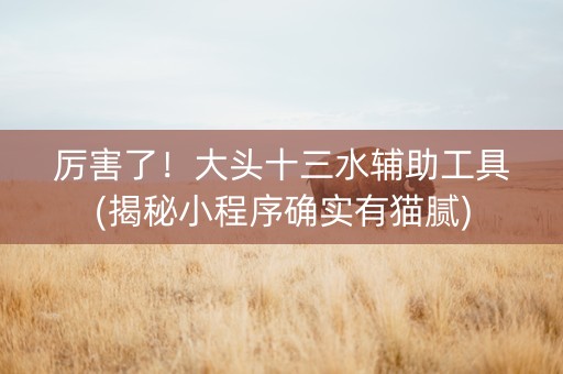 厉害了！大头十三水辅助工具(揭秘小程序确实有猫腻)