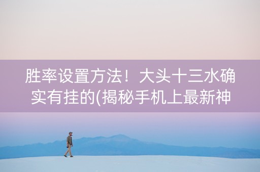 胜率设置方法！大头十三水确实有挂的(揭秘手机上最新神器下载)