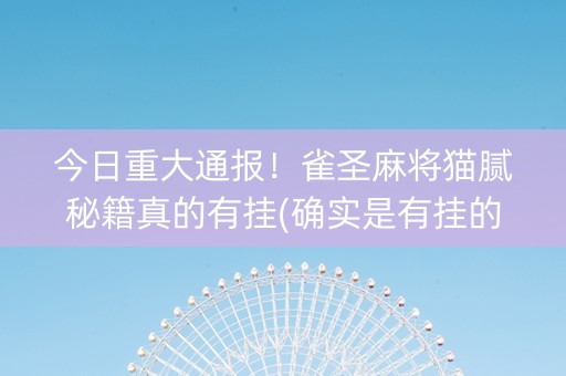 今日重大通报！雀圣麻将猫腻秘籍真的有挂(确实是有挂的)