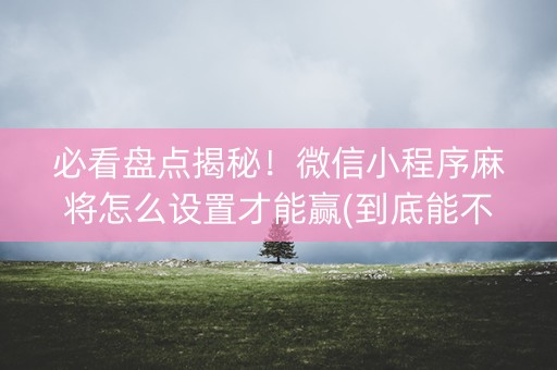 必看盘点揭秘！微信小程序麻将怎么设置才能赢(到底能不能开挂)