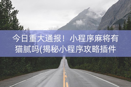 今日重大通报！小程序麻将有猫腻吗(揭秘小程序攻略插件)