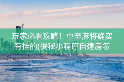玩家必看攻略！中至麻将确实有挂的(揭秘小程序自建房怎么赢)