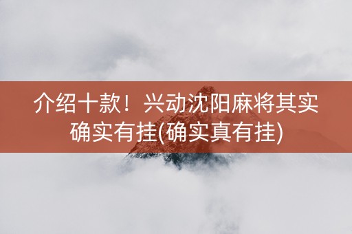 介绍十款！兴动沈阳麻将其实确实有挂(确实真有挂)