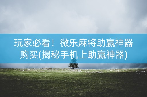 玩家必看！微乐麻将助赢神器购买(揭秘手机上助赢神器)