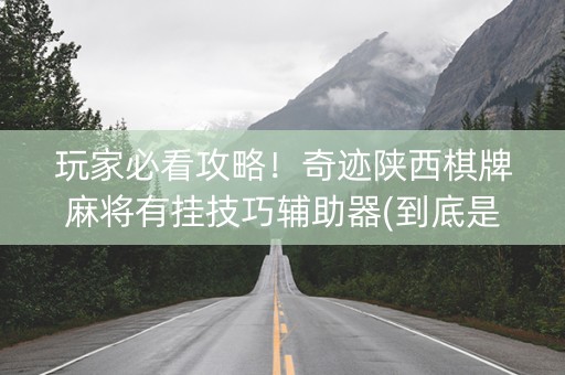 玩家必看攻略！奇迹陕西棋牌麻将有挂技巧辅助器(到底是不是有挂)