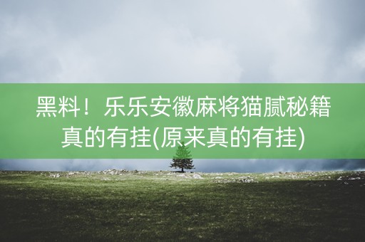 黑料！乐乐安徽麻将猫腻秘籍真的有挂(原来真的有挂)