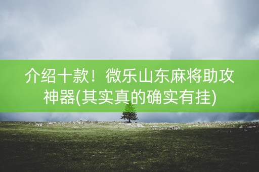 介绍十款！微乐山东麻将助攻神器(其实真的确实有挂)