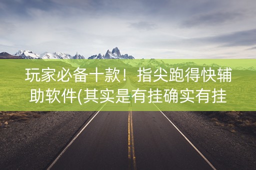玩家必备十款！指尖跑得快辅助软件(其实是有挂确实有挂)