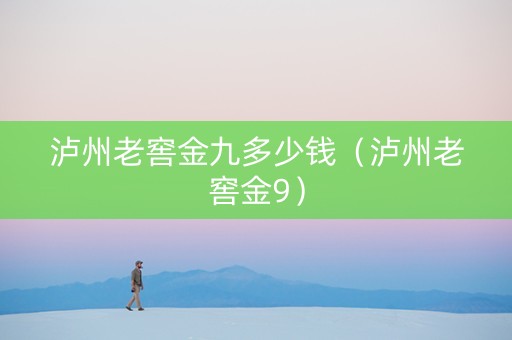 泸州老窖金九多少钱（泸州老窖金9）