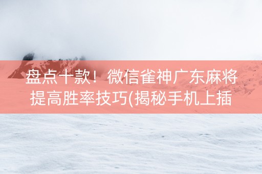 盘点十款！微信雀神广东麻将提高胜率技巧(揭秘手机上插件购买)