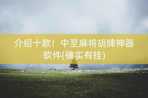 介绍十款！中至麻将胡牌神器软件(确实有挂)