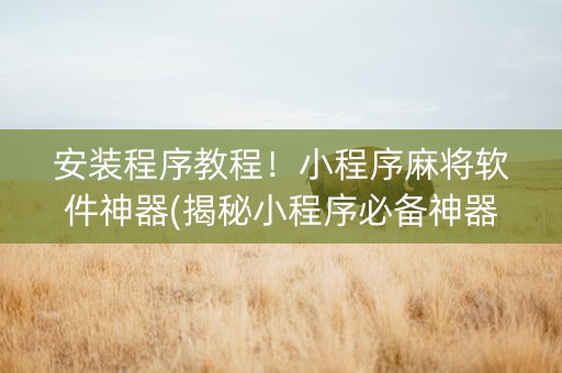 安装程序教程！小程序麻将软件神器(揭秘小程序必备神器)