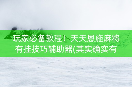 玩家必备教程！天天恩施麻将有挂技巧辅助器(其实确实有挂)