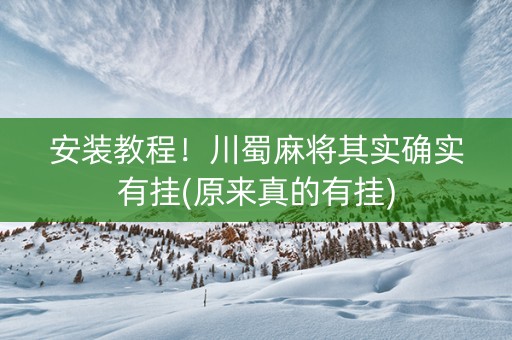 安装教程！川蜀麻将其实确实有挂(原来真的有挂)