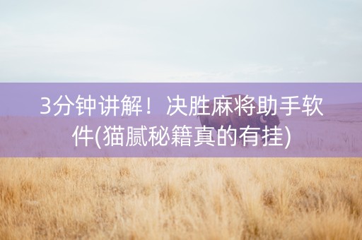 3分钟讲解！决胜麻将助手软件(猫腻秘籍真的有挂)