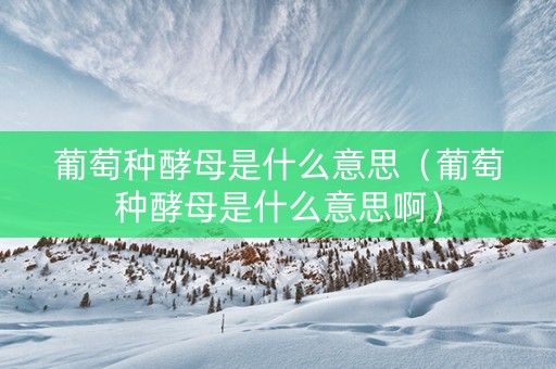 葡萄种酵母是什么意思（葡萄种酵母是什么意思啊）