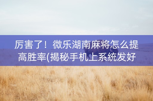 厉害了！微乐湖南麻将怎么提高胜率(揭秘手机上系统发好牌)