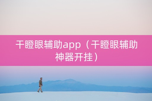 干瞪眼辅助app（干瞪眼辅助神器开挂）