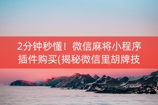 2分钟秒懂！微信麻将小程序插件购买(揭秘微信里胡牌技巧)
