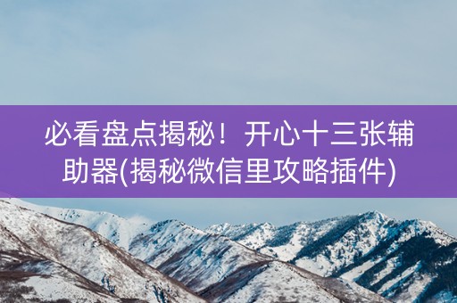 必看盘点揭秘！开心十三张辅助器(揭秘微信里攻略插件)