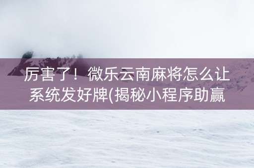 厉害了！微乐云南麻将怎么让系统发好牌(揭秘小程序助赢神器购买)
