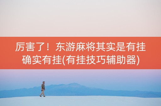 厉害了！东游麻将其实是有挂确实有挂(有挂技巧辅助器)