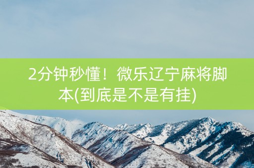 2分钟秒懂！微乐辽宁麻将脚本(到底是不是有挂)
