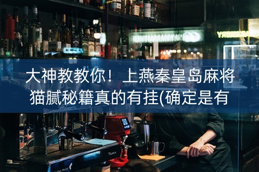 大神教教你！上燕秦皇岛麻将猫腻秘籍真的有挂(确定是有挂)