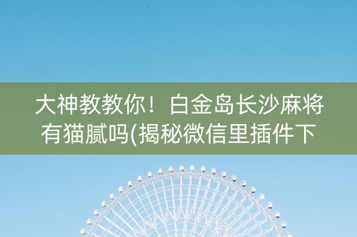 大神教教你！白金岛长沙麻将有猫腻吗(揭秘微信里插件下载)