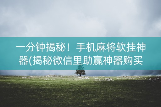 一分钟揭秘！手机麻将软挂神器(揭秘微信里助赢神器购买)