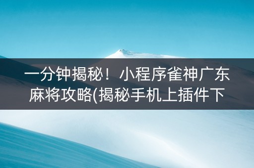 一分钟揭秘！小程序雀神广东麻将攻略(揭秘手机上插件下载)