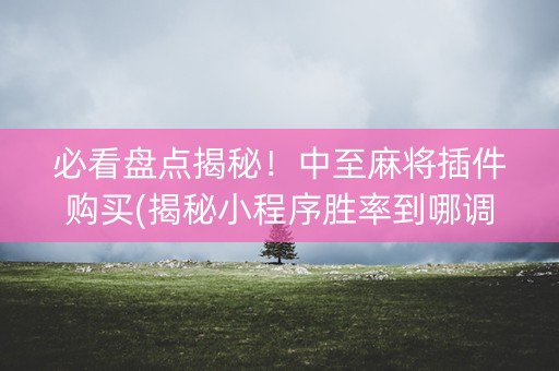 必看盘点揭秘！中至麻将插件购买(揭秘小程序胜率到哪调)