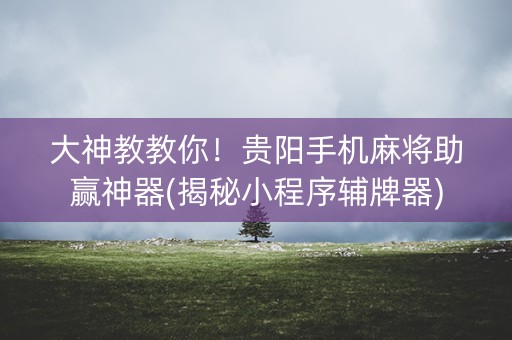 大神教教你！贵阳手机麻将助赢神器(揭秘小程序辅牌器)