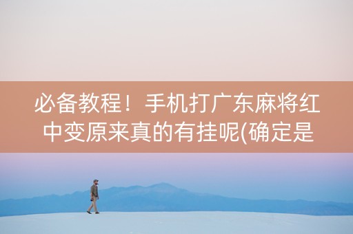 必备教程！手机打广东麻将红中变原来真的有挂呢(确定是有挂)