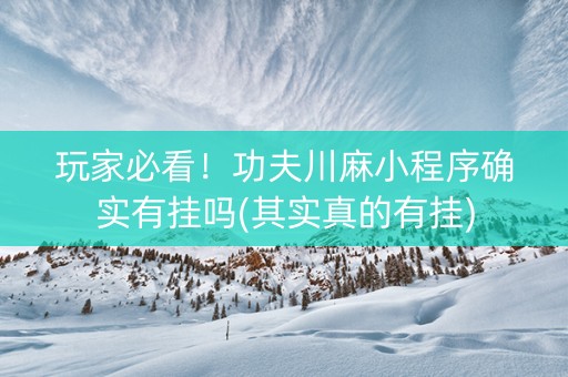 玩家必看！功夫川麻小程序确实有挂吗(其实真的有挂)