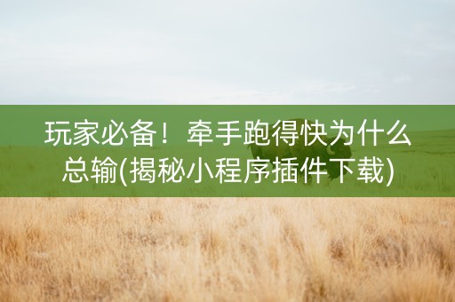 玩家必备！牵手跑得快为什么总输(揭秘小程序插件下载)