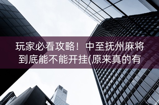 玩家必看攻略！中至抚州麻将到底能不能开挂(原来真的有挂)