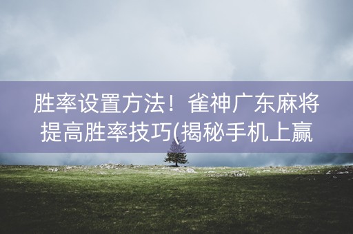 胜率设置方法！雀神广东麻将提高胜率技巧(揭秘手机上赢的秘诀)