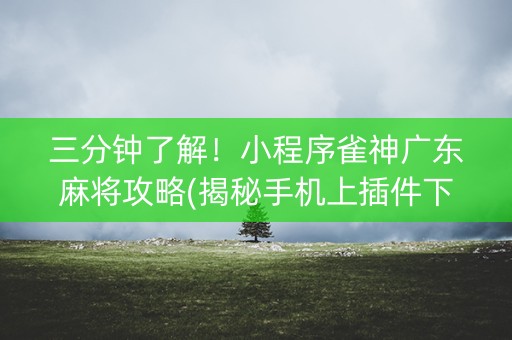 三分钟了解！小程序雀神广东麻将攻略(揭秘手机上插件下载)