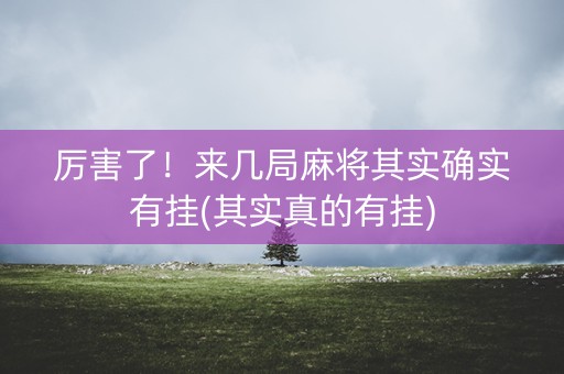 厉害了！来几局麻将其实确实有挂(其实真的有挂)