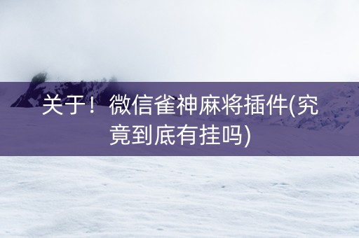 关于！微信雀神麻将插件(究竟到底有挂吗)